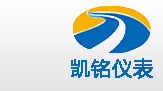 金湖好色先生TVAPP仪表有限公司LOGO